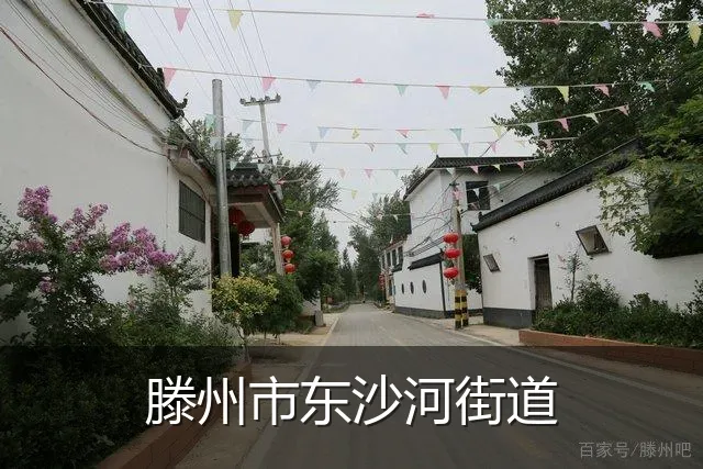 滕州市东沙河街道