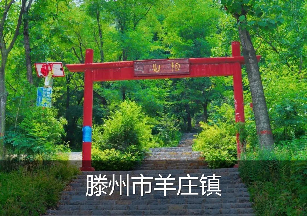 滕州市羊庄镇
