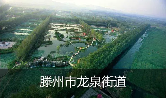 滕州市龙泉街道